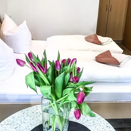 Pfefferstuebchen Hotel