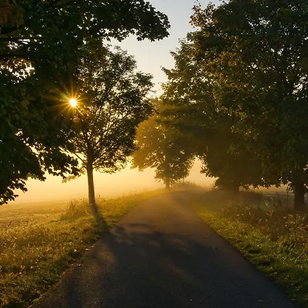 Hotel Pfefferstuebchen *