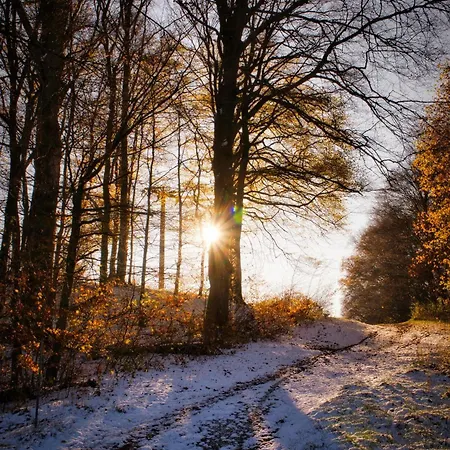 Hotel Pfefferstuebchen