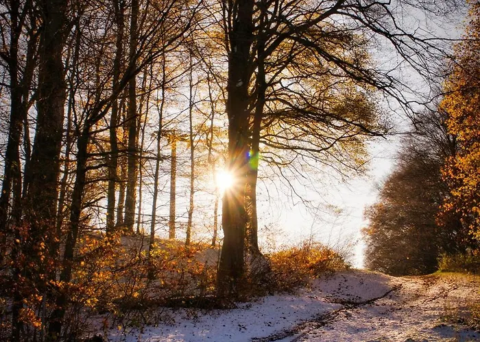 Hotel Pfefferstübchen